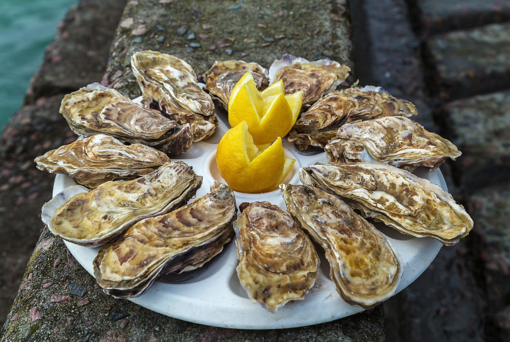 Assiette d'huîtres de Cancale avec des tranches de citron